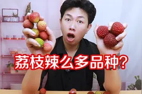 妃子笑、荔枝王、白糖罂荔枝……不同品种的荔枝有什么区别？视频封面