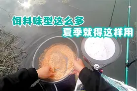 随处可见4种味型饵料，夏季野钓怎么选？这样用饵空军可能变爆护视频封面