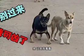 就看这腿 一看就是大哥啊
