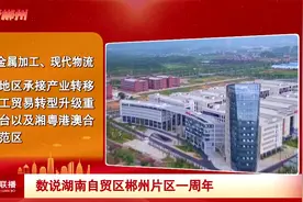 数说湖南自贸区郴州片区一周年视频封面