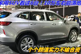 买家用SUV可以看这6台！10万左右能落地，个个颜值实力不输合资视频封面