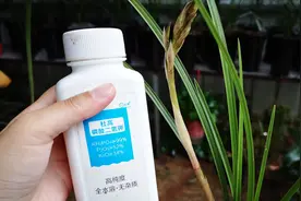兰花长出花苞后，还能不能使用磷酸二氢钾？视频封面