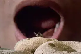 父亲发明缩小机，意外把儿子变成芝麻大小，还差点把他吃了！视频封面