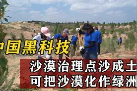 千顷沙漠变万亩良田？沙子胶水成功改造沙漠，有效治理土地荒漠化视频封面
