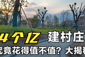 萧山网红『梅林村』，4个亿成本投入，究竟目前建设如何？大揭秘视频封面