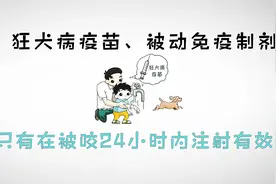 被狗咬了，必须24小时内打狂犬病疫苗吗？视频封面