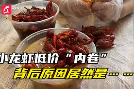 每斤价格十几元，小龙虾套餐也“内卷”，低价背后啥原因？视频封面