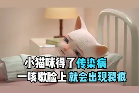 感人短片《三只小猫》：小猫咪得了传染病，一咳嗽就会出现裂痕视频封面