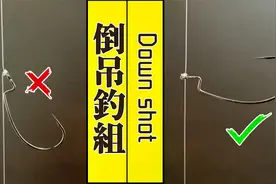 軟蟲&軟餌【倒吊釣組/倒掛釣組】看了就會的詳細解說视频封面