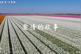 90年代经典老歌《爱情的故事》-方季惟，是什么样的感觉我不懂视频封面