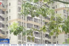 未来两天广东气温上升部分市县将出现“回南天”视频封面