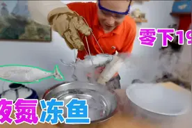 用零下196度的液氮，把活鱼冻住，鱼还能复活吗？视频封面