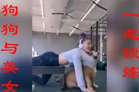 狗狗与美女一起锻炼，盘点沙雕搞笑尴尬视频视频封面