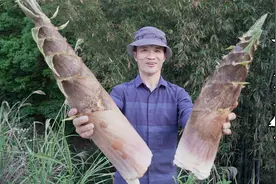 巨型青笋你们吃过吗？济公松秘制六吃，比吃一桌酒席还过瘾视频封面