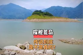 探秘水库荒岛，上面会是传说中的那样吗。视频封面