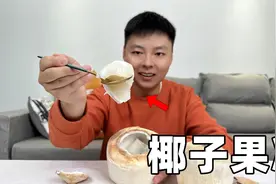 据说只要把椰汁煮开再加吉利丁粉，就能做出特别Q弹的椰子果冻？