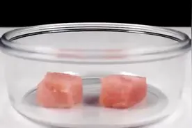 肉放进真空瓶一个月会腐烂吗？打开瓶子的那刻，简直不要太恶心视频封面