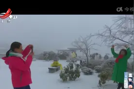 九江：庐山再迎中雪 来一场“赏雪周末游”视频封面