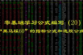 零基础学习公式编写（20）  “黑马踩60”的指标公式和选股公式视频封面