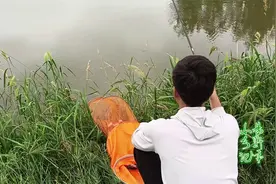 荒废几年的老鱼塘，里面的鲫鱼都饿疯了，1.5个小时狂拉10斤鲫鱼视频封面