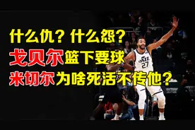 2分钟看完，米切尔与戈贝尔的恩怨故事视频封面