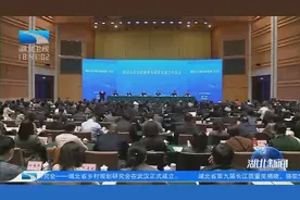 文化和旅游部在武汉召开推进公共文化服务高质量发展工作会议视频封面