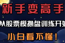 新手变高手----从股票模拟盘训练开始，小白看不懂！视频封面