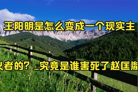王阳明是怎么变成一个现实主义者的？_究竟是谁害死了赵匡胤_视频封面