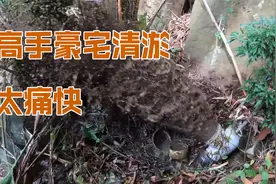 山顶别墅下水堵塞高手来清淤管道打开污水喷射，这活需要多加钱！视频封面