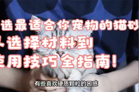 挑选最适合你宠物的猫砂，从选择材料到使用技巧全指南！视频封面
