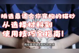 挑选最适合你宠物的猫砂，从选择材料到使用技巧全指南！视频封面