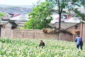 我国这个县，已有2700年历史，被誉为"华夏第一县"，少有人知！