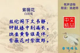 紫薇花 唐代 白居易 - 独坐黄昏谁为伴，紫薇花对紫微郎视频封面