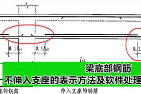 梁底部钢筋不伸入支座的表示方法及软件处理技巧视频封面