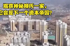 揭穿神秘柳氏一家，它会是下一个资本帝国？视频封面