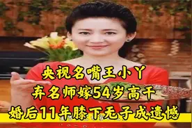 央视名嘴王小丫，弃名师，嫁54岁高干，婚后11年膝下无子成遗憾视频封面