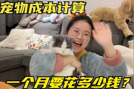 养猫好还是养狗好？钱贝的猫一个月要花多少钱，这个饲养成本高吗视频封面