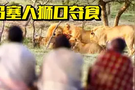 肯尼亚马赛人教会儿子如何从狮子口中夺取食物视频封面