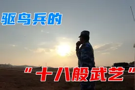 涨见识了！快来看驱鸟兵的“十八般武艺”视频封面
