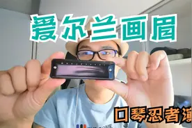 口琴演奏 爱尔兰画眉   最新爱尔兰音阶 十孔口琴 忍者视频封面