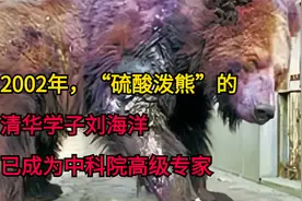 2002年，“硫酸泼熊”的清华学子刘海洋，已成为中科院高级专家视频封面