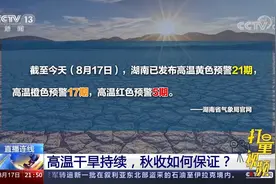 未来一周高温干旱仍驻留湖南，对农业影响还会扩大|新闻1+1视频封面
