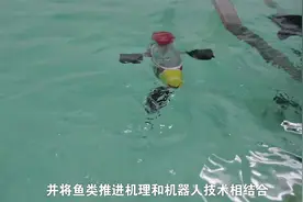 仿生机器鱼那些事视频封面