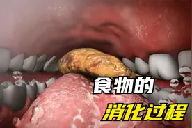 吃进嘴里的食物，竟是这样被消化！人体太神奇了视频封面