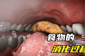 吃进嘴里的食物，竟是这样被消化！人体太神奇了视频封面