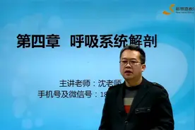 呼吸系统解剖--医师资格证/医师/医生入职/医学生就业/实践技能视频封面