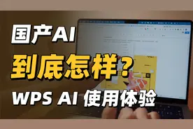 国产AI实测！WPS AI 20天深度体验分享！视频封面