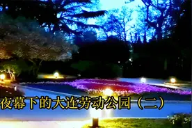 夜幕下的大连劳动公园（二）视频封面