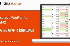 DevExpress DataGrid控件理论&实操（2），让数据展示变得更灵活