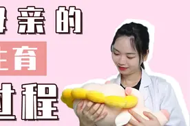 3分钟带你了解，女人怀孕全过程视频封面